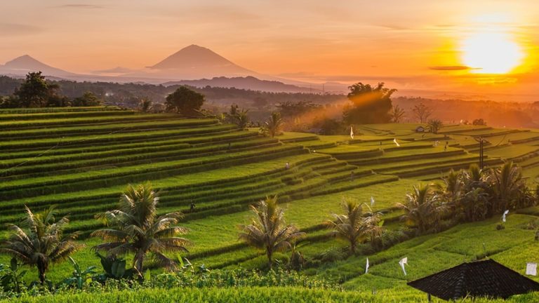 rizières en terrasses à Sidemen au coucher de soleil avec vue sur le Mount Agung à Bali