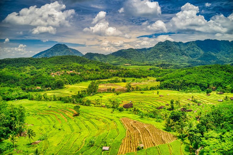 rizières de Jatiluwih à Bali pendant la saison sèche meilleure période pour voyager
