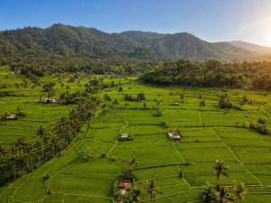 voyage à Bali en 2026 rizières de Sidemen avec vue sur le mont Agung