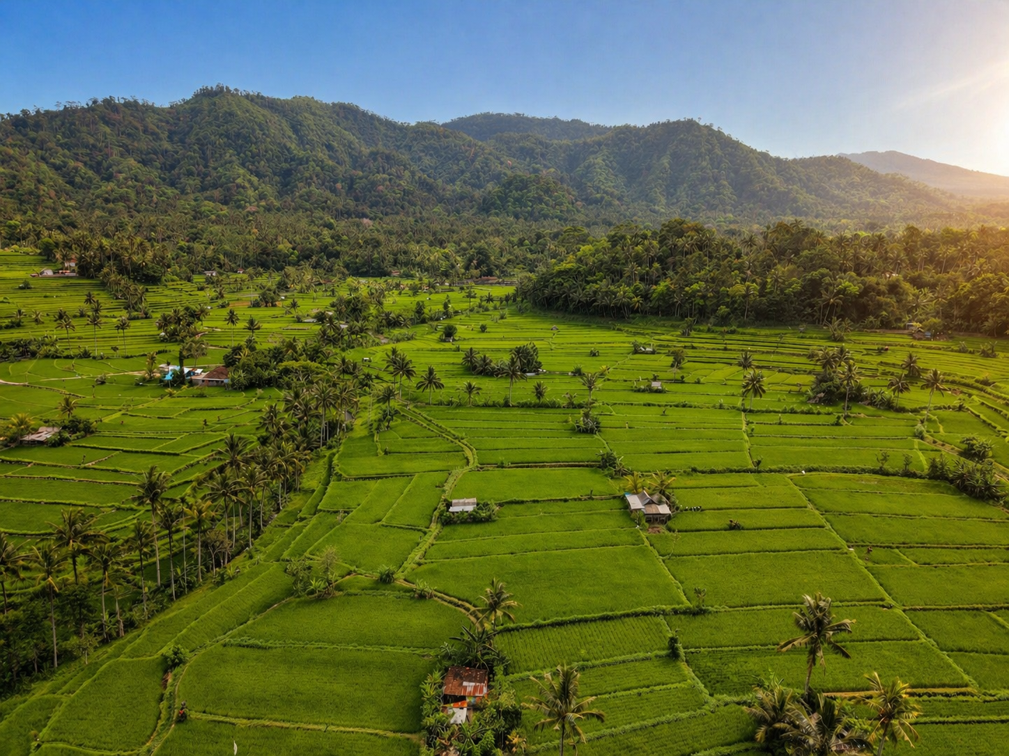 voyage à Bali en 2026 rizières de Sidemen avec vue sur le mont Agung