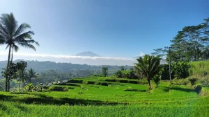 Rizières de Sidemen à Bali avec le mont Agung en arrière-plan