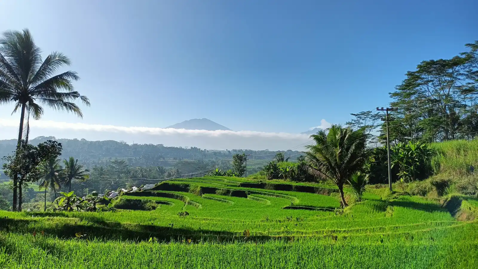Rizières de Sidemen à Bali avec le mont Agung en arrière-plan